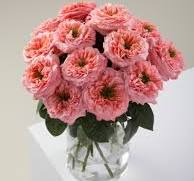 Envio y venta de flores ,rosas, plantas,arreglos florales ,regalos y desayunos a domicilio con delivery gratis en la Ciudad Autonoma de Buenos Aires y con costo de env�o en localidades del Gran Buenos Aires asi como delivery de flores y plantas a trav�s de florerias asociadas en todas las provincias de la Argentina, Buenos Aires, la Pampa, Tucuman, La Rioja, R�o Negro, Entre Rios, Corrientes, Misiones, Neuquen, Chubut, Tierra del Fuego, Santa Cruz, San Luis, Mendoza, Cordoba, Jujuy, Formosa, Santiago del Estero, Salta, Chaco, Catamarca ,San Juan, y ademas realizamos el delivery de flores ,coronas,palmas , plantas y regalos a todas las ciudades de Argentina, Mar del Plata, C�rdoba, Buenos Aires, con cargo en Santa Rosa, La Plata, Bella Vista, Neuquen, Pilar, Paran�, Posadas, Resistencia, Cipolleti y mas de 300 ciudades y localidades en todo el territorio de nuestro pa�s, asi como tambien tenemos la posibilidad de enviar flores a casi todo el mundo en cuestion de horas